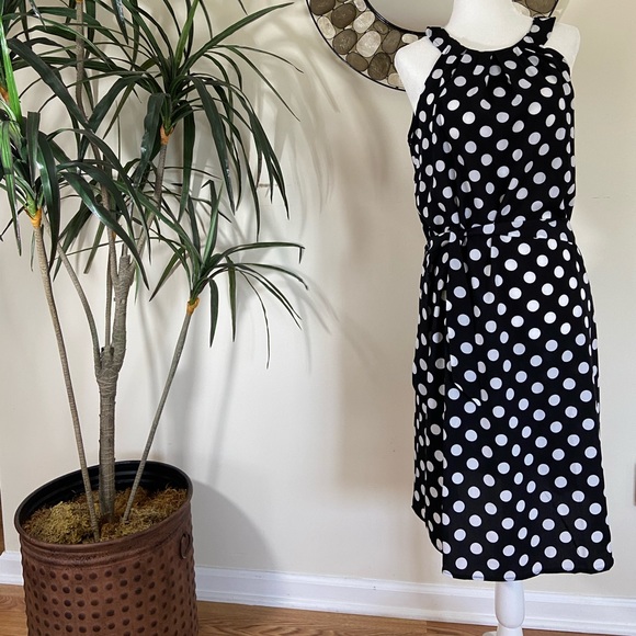NWOT Black/White Polka Dot Dress - Picture 1 of 4